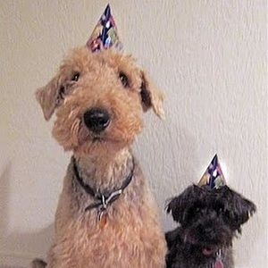 Meet your Posher, Jonah